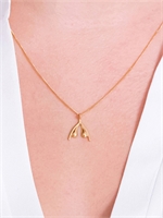 2. Sex Shop, Clitoris 18 Carat Gold Necklace by Womanizer