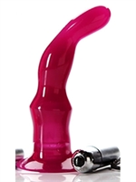2. Sex Shop, ProTouch Tantus silicone Vibe