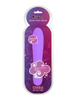 2. Sex Shop, Precious Passion Vibrator