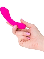 2. Sex Shop, Mini Swan Wand