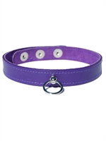 3. Sex Shop, Suede Lined Leather Collar with Ring