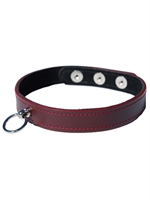 6. Sex Shop, Suede Lined Leather Collar with Ring