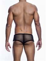 3. Sex Shop, Mesh Boyshort by Malebasics