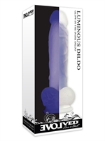 6. Sex Shop, Luminous Dildo by Evolved