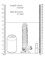 5. Sex Shop, Transparent Realrock Crystal Clear 7" Dildo by RealRock