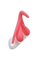 2. Sex Shop, Clitoris 3D
