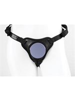 2. Sex Shop, Platinum Body Dock SE Strap-On Harness by Dillio