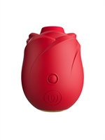 2. Sex Shop, Womanizer Rose