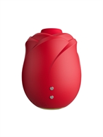 3. Sex Shop, Womanizer Rose